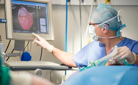 doctor checking computer screen during surgery